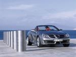 Mercedes-Benz SLK350 2009 года